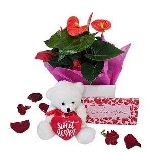 Gifts: Love in Bloom Box