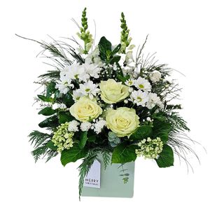 Occasions: White Christmas