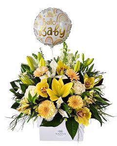 New Baby: Baby Blooms