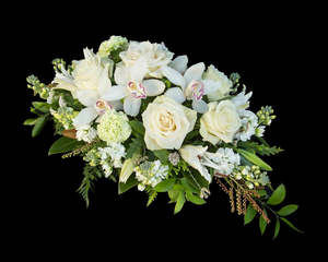 Sympathy: In Remembrance