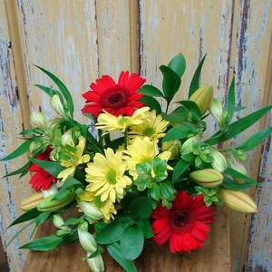 Posies: Posie Bright: F/Choice