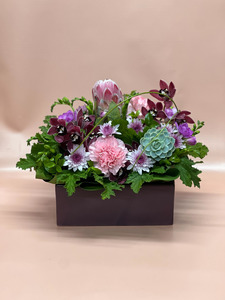 Arrangements: Modern Arrangement: F/Choice