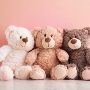 Assorted: Teddy Bear