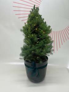 Christmas: Mini Christmas Trees