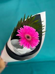 Valentines Collection: One in a Million