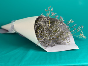 Valentines Collection: Lasting Bloom