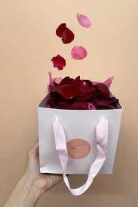 Valentines Collection: Spread the love - Rose petals