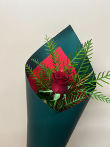 Valentines Collection: The One and Only