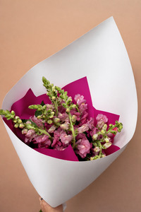 Just Because: Simply Snaps