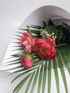 Products: Paeony with a Purpose 3 Lush Stems