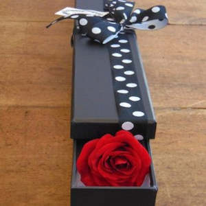 Valantines Day: Single Boxed Rose
