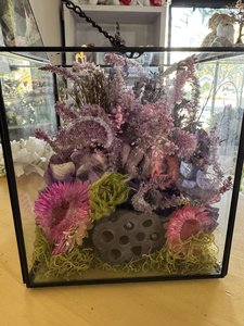 Products: Dried Arrangement in a Terrarium - Flowers that Wow- Florist - South Auckland Delivery