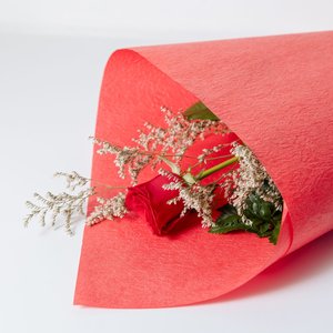 Products: Single Red Rose - Flowers that Wow- Florist - South Auckland Delivery