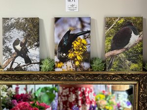 Products: New Zealand Native Bird - Prints - Flowers that Wow- Florist - South Auckland Delivery