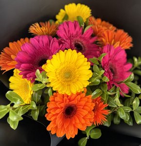 Products: Gerbera Fiesta - Flowers that Wow- Florist - South Auckland Delivery