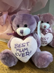 Products: Pre-Order 'Best Mum Ever ' Plush Teddy Bear - Perfect Gift for Mom - Flowers that Wow- Florist - South Auckland Delivery