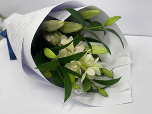 Products: Perfectionist