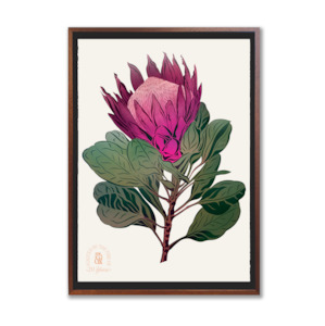 Artworks: Antipodes Botanical - King Protea