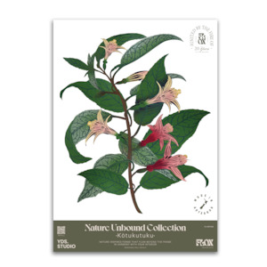 Gifts: Kōtukutuku Decal