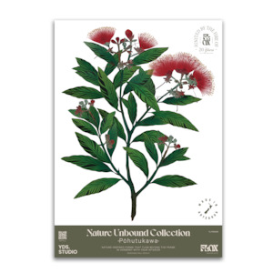 Gifts: Pōhutukawa Decal