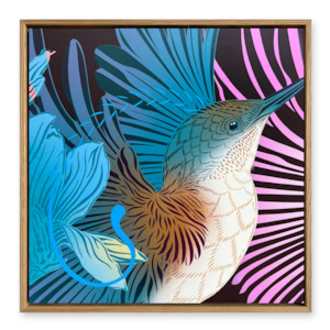 Kingfisher2 & Electric Wings 50cm