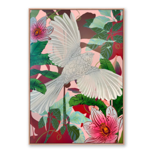 Frontpage: Prestige Luxe: Tropical Fantail