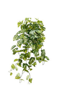 For The Boho Babe: Variegated Pothos Bush Real Touch Central Stem