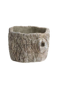 Bovi Home: Tree Stump Cement Planter