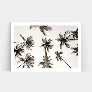 Art Prints: PALMY NIGHTS