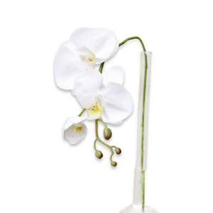Mothers Day: White Orchid Stem – 60cm Faux Flower with 3 Blooms