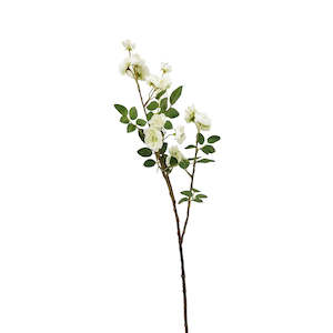 Mothers Day: Rambling Rose Spray Cream / Lilac