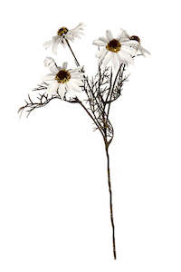 Mothers Day: Echinacea Spray — White | Artificial Flower Stem, 50 cm