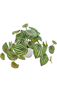 Peperomia Watermelon Faux Plant – Real Touch Potted Greenery