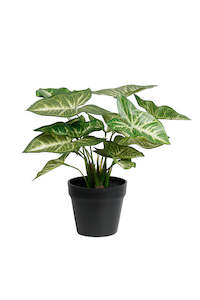 For The Boho Babe: Artificial Syngonium Plant in Black Pot – 30cm Potted Faux Plant with Realistic Leaves
