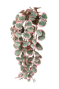 Variegated String of Hearts – Pink & Green Faux Hanging Vine | 46cm