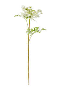Artificial Flora: Dill Ammi Spray – White & Green Faux Flower Stem | 65cm