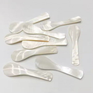 For The Foodie: Mother of Pearl Spoons from Papier HQ — Set of 4 Non-Reactive Shell Spoons