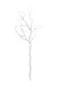 Gift Ideas For The Homebody: Artificial White Branch – 89cm Decorative Stem for Styling & Arrangements