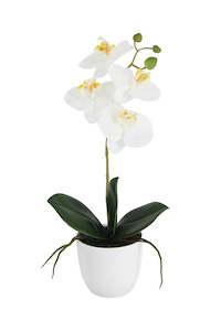 Real Touch Phalaenopsis Orchid – White Potted 35.5cm