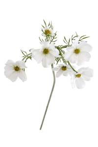 For The Beach Bum: Faux Cosmos Spray – White (Also Available in Pink) | 51cm Stem