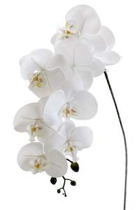 Artificial White Phalaenopsis Orchid Stem – 86cm Cascading Bloom