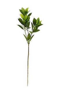 Laurel Leaf Spray 82cm – Artificial Greenery Stem