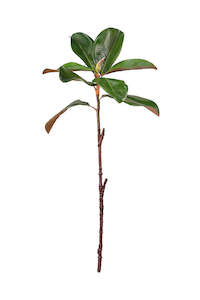 Artificial Flora: Magnolia Leaf Spray 59cm — Realistic Green Foliage Stem
