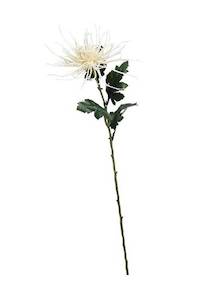 Artificial Flora: Cream Spider Mum Stem – 71cm Artificial Flower
