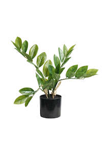 Zamifolia Potted Plant 31cm – Artificial Indoor Greenery