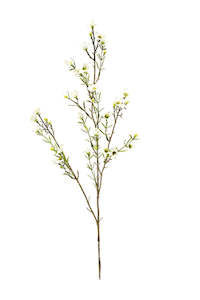 Wax Flower White 78cm – Artificial Floral Stem