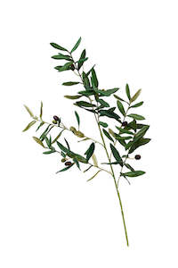 Artificial Olive Branch Stem – 104cm Lifelike Faux Foliage