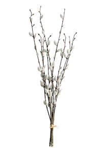 Pussy Willow Bundle – 3 Faux Branches with Soft Silver Catkins (55cm)