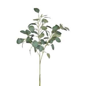 Gift Ideas For The Homebody: River Gum Eucalyptus