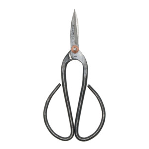 Bonsai Shears – Small & Large Pruning Scissors from Esschert